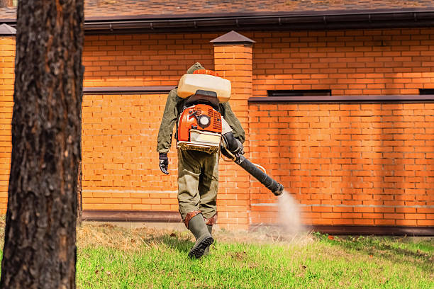 Trusted Mosquito Control service in Santa Clara, OR - Nex Pest Control